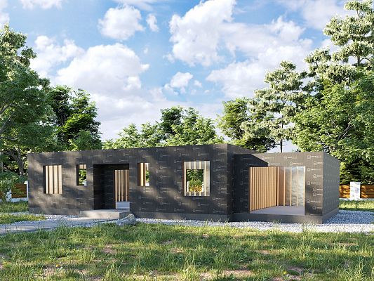 Grafika Light Wood Plus